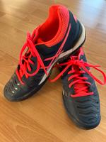 ASICS Gel Chalenger Tennis Outdoor Damen Baden-Württemberg - Reutlingen Vorschau