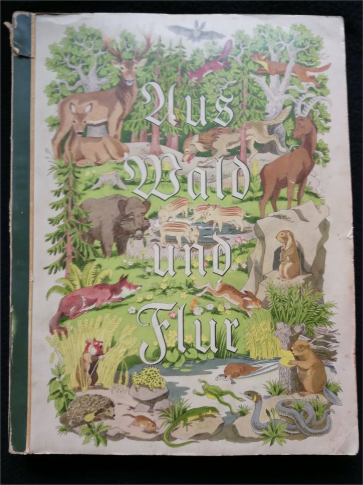 "Aus Wald und Flur" Band 3, Sammelbuch ca. 1938 in Ditzingen