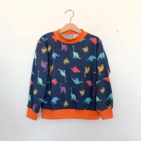 NEU Etsy Dino Dinosaurier Kinder Pullover Pulli Langarmshirt 128 Leipzig - Sellerhausen-Stünz Vorschau