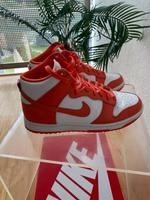 Nike Dunk High Syracuse Baden-Württemberg - Leinfelden-Echterdingen Vorschau