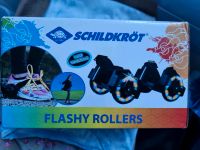 Schildkröt flashy Rollers Bayern - Weißenburg in Bayern Vorschau