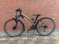 Kinder Fahrrad 26 Zoll Nordrhein-Westfalen - Delbrück Vorschau