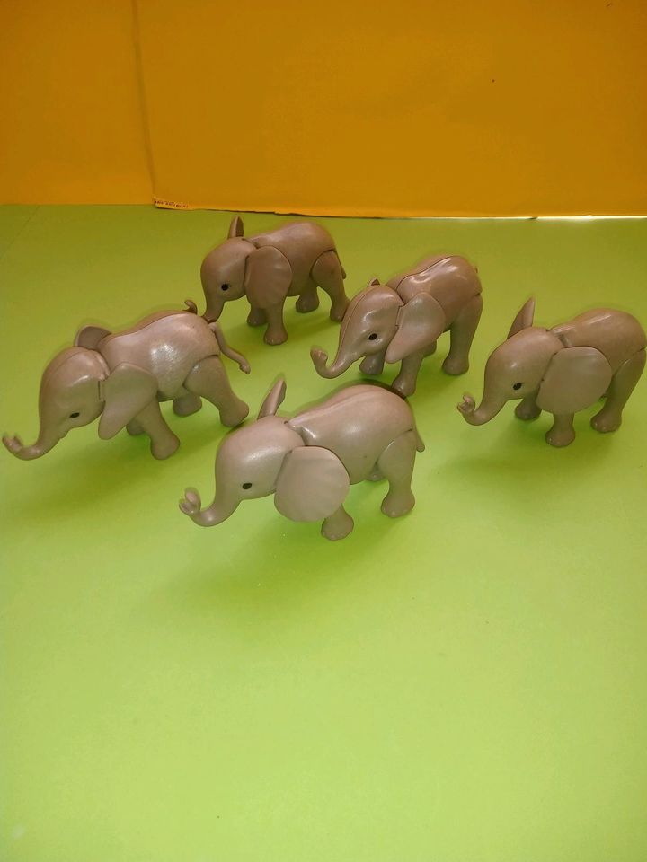 Playmobil 5 Baby Elefanten in Soltau