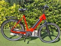 GAZELLE ULTIMATE C8 BOSCH PLUS E-BIKE/RH:61/500AKU/GARANTIE Niedersachsen - Moormerland Vorschau