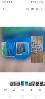 Shorts 30 32 auch Replay Paket 7 Stück Bayern - Markt Schwaben Vorschau