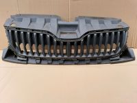 Skoda Fabia 6V Frontgrill Kühlergrill 6V0853653A  Grill Thüringen - Hermsdorf Vorschau