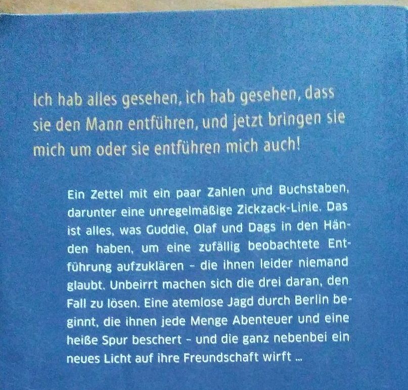 Young Adult,Jugendbuch,Krimi,Schule,Unterricht,Zora,Docks,Dieb in Münsterdorf 