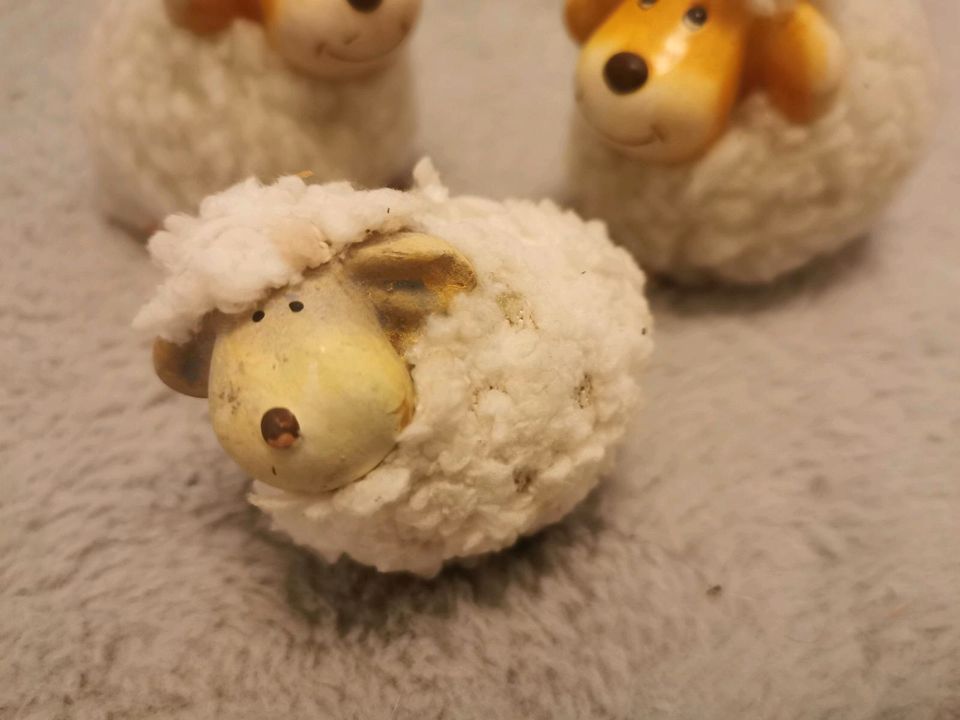 Schaf Schafe Hase Deko Kinder Frühling Ostern in Bad Bevensen