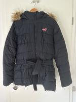 Hollister Winterjacke Gr. L *wie NEU* Sachsen - Claußnitz Vorschau