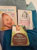 Bücher Hebammen Baby Wachsen Wissen Berlin - Treptow Vorschau