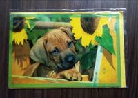 NEU: Tierpostkarte Welpe Hund Klappkarte mit Umschlag Berlin - Köpenick Vorschau