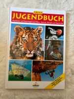 Jugendbuch mit verschiedenen Themen Niedersachsen - Braunschweig Vorschau