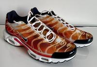 Nike Air Max Plus TN, Top Zustand, Grösse 47.5, Orange Baden-Württemberg - Bad Säckingen Vorschau