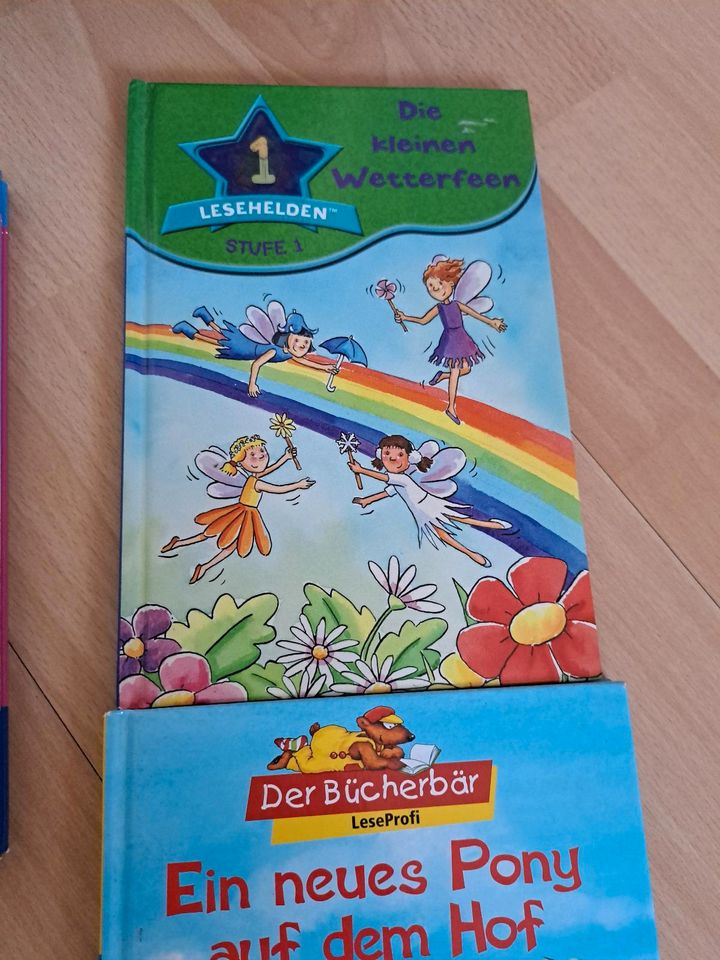 9 Bücher Set Konvolut Leselernbücher Kinder Lesen Lernen in Aichach