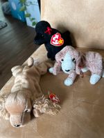 Ty beanie Baby Dortmund - Aplerbeck Vorschau