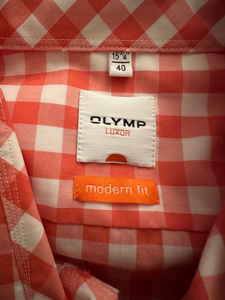 Eterna, Olymp Einhorn Hemden Gr.40 je 9€ in Wiehl