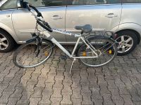 Mc kenzie Fahrrad 28 Zoll Rheinland-Pfalz - Messersbacherhof Vorschau