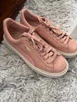 Puma Suede Sneaker rose Nordrhein-Westfalen - Hagen Vorschau