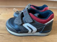 Sneaker Jungen Geox Größe 22 Bayern - Mallersdorf-Pfaffenberg Vorschau