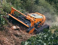 Grundstückrodung, Gartenpflege, Landschaftspflege Niedersachsen - Gifhorn Vorschau