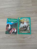Zwei Meerschweinchen Bücher Brandenburg - Drebkau Vorschau