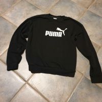 Puma Sweatshirt Gr.40 Niedersachsen - Messingen Vorschau