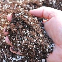 Knauf Perligran Premium Perlite für hogriculture, grow-mix Baden-Württemberg - Wellendingen Vorschau