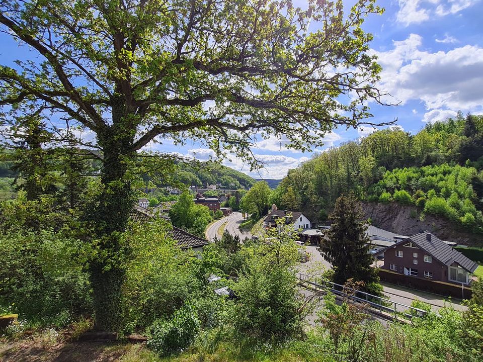 Gebäudeensemble in idyllischer Lage von Schleiden Gemünd in Schleiden