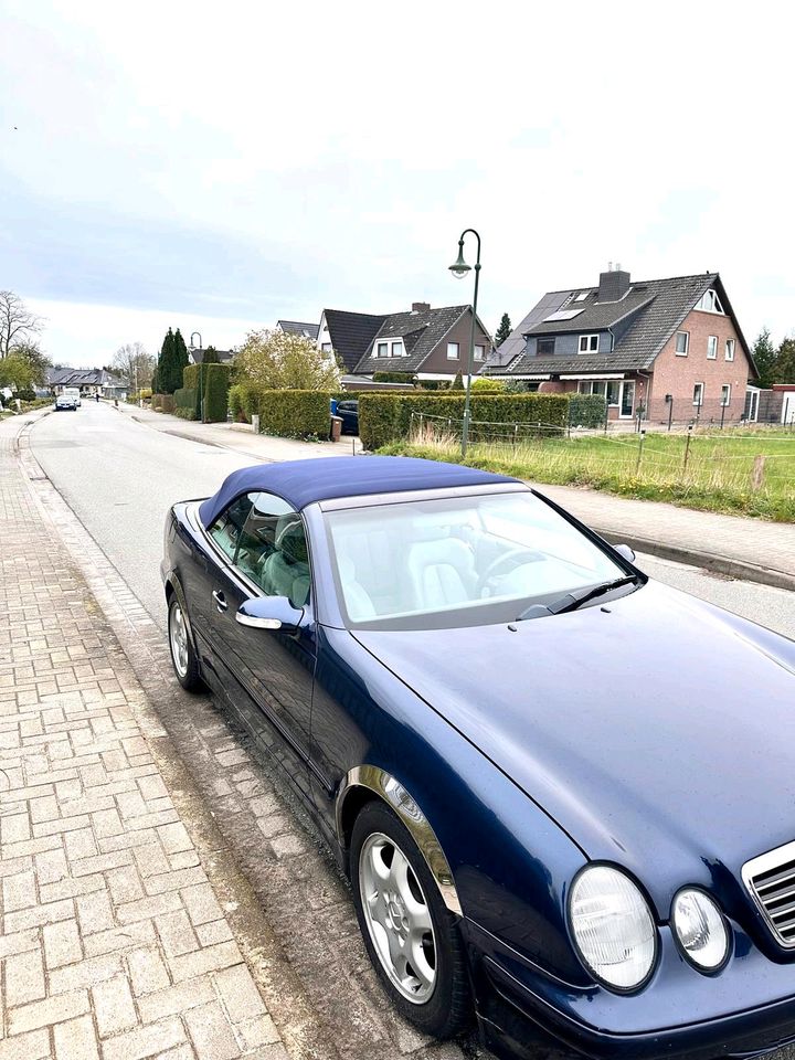 MB CLK 200 Cabrio "Elegance" Top Zustand in Pinneberg