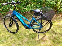 Pegasus E-Bike zu verkaufen Nordrhein-Westfalen - Recklinghausen Vorschau