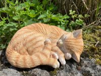 Deko Schlafende Katze Gartenfigur Wohnung in verschiedenen Farben Rheinland-Pfalz - Waldbreitbach Vorschau