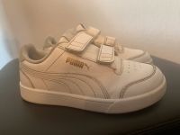 Jungen Sneaker Puma Gr. 29 Essen - Altenessen Vorschau