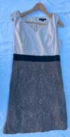 Kleid festlich Comma Größe 38 mit spitze Hessen - Darmstadt Vorschau