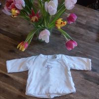 Jacadi Babysachen Pullover, Jacke, Hose Größe 62/67 Berlin - Charlottenburg Vorschau