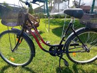 Damenfahrrad 26 Zoll Sachsen-Anhalt - Alsleben (Saale) Vorschau