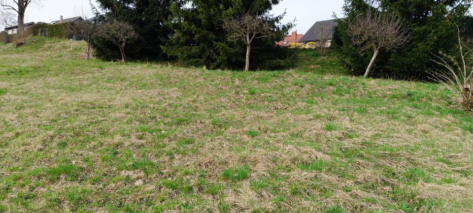 Einfamilienhaus mit Doppelgarage in Waldau in Schleusingen