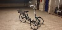 Dreirad für Erwachsene- Fahrrad mit drei Rädern- Viktoria Niedersachsen - Seelze Vorschau
