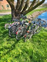 Fahrrad Kinderrad Cityrad Mecklenburg-Vorpommern - Malchin Vorschau