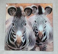 Glasbild Zebras, Neu❗️ Niedersachsen - Norden Vorschau