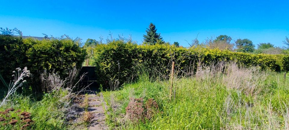 Kleingarten zur Pacht abzugeben. in Kuhfelde