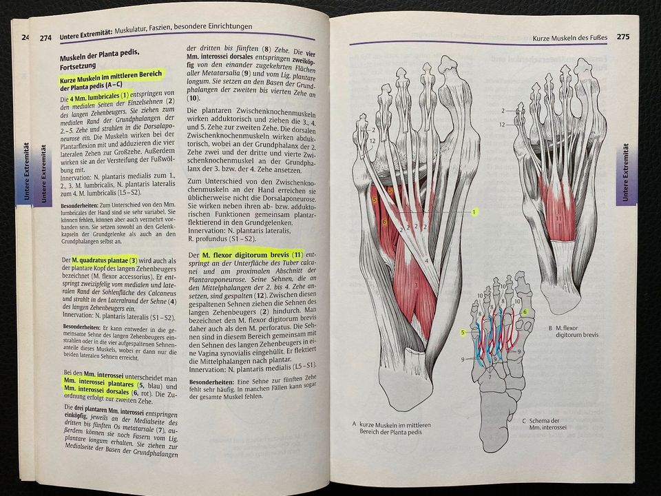 Taschenatlas Anatomie in 3 Bänden dtv in Frankfurt am Main