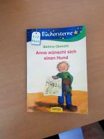 Anna wünscht sich einen Hund Sachsen-Anhalt - Oebisfelde-Weferlingen Vorschau