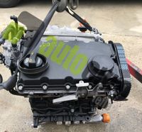 Kompletter Motor BRD - VW, Audi A4 2.0 TDI - ca. 105 TKM Rheinland-Pfalz - Deuselbach Vorschau