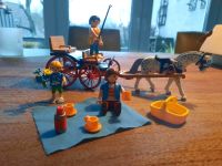 Playmobil Country 5226 Ausflug mit Pferdekutsche Schleswig-Holstein - Oelixdorf Vorschau