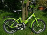 Bike Star 16 Zoll Kinder Fahrrad grün Top Zustand Dortmund - Benninghofen-Loh Vorschau