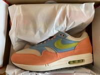 Nike Air Max 1 Light Madder Root Worn Blue | Größe 45 Hessen - Bad Hersfeld Vorschau
