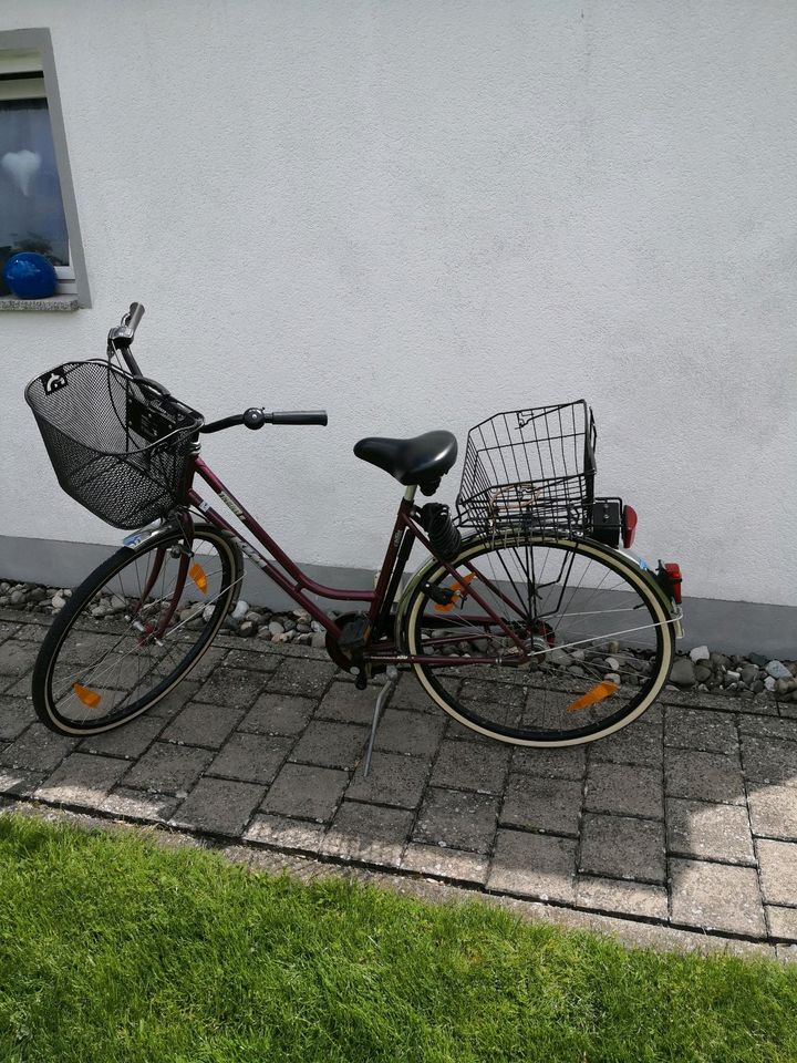 K T M  Damen Fahrrad in Nördlingen