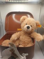 Steiff teddybär mit koffer Hessen - Wiesbaden Vorschau