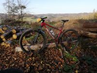 Specialized Chisel Nordrhein-Westfalen - Dormagen Vorschau