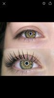 Wimpernlifting inkl. färben & Keratin  Behandlung Nordrhein-Westfalen - Stadtlohn Vorschau